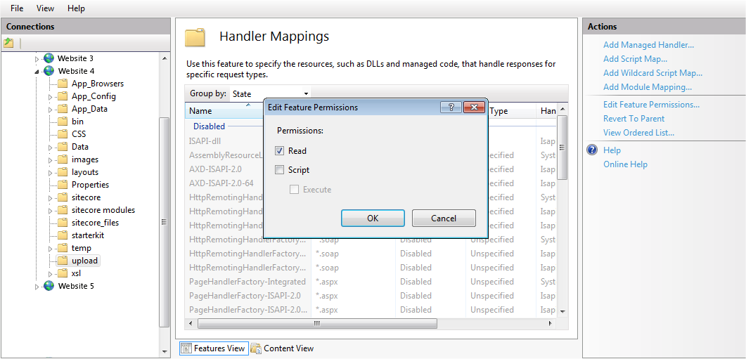 the Script and Execute check boxes