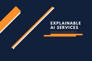 Explainable AI Services and Solutions Company | XAI Development Services in USA India