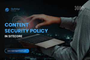 Content Security Policies In Sitecore - Skybridge Infotech USA India