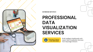 Why Every Enterprise Needs Professional Data Visualization Services | Skybridge Infotech